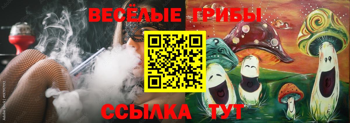 Псилоцибиновые грибы Psilocybe  Вход с VPN  Реутов 