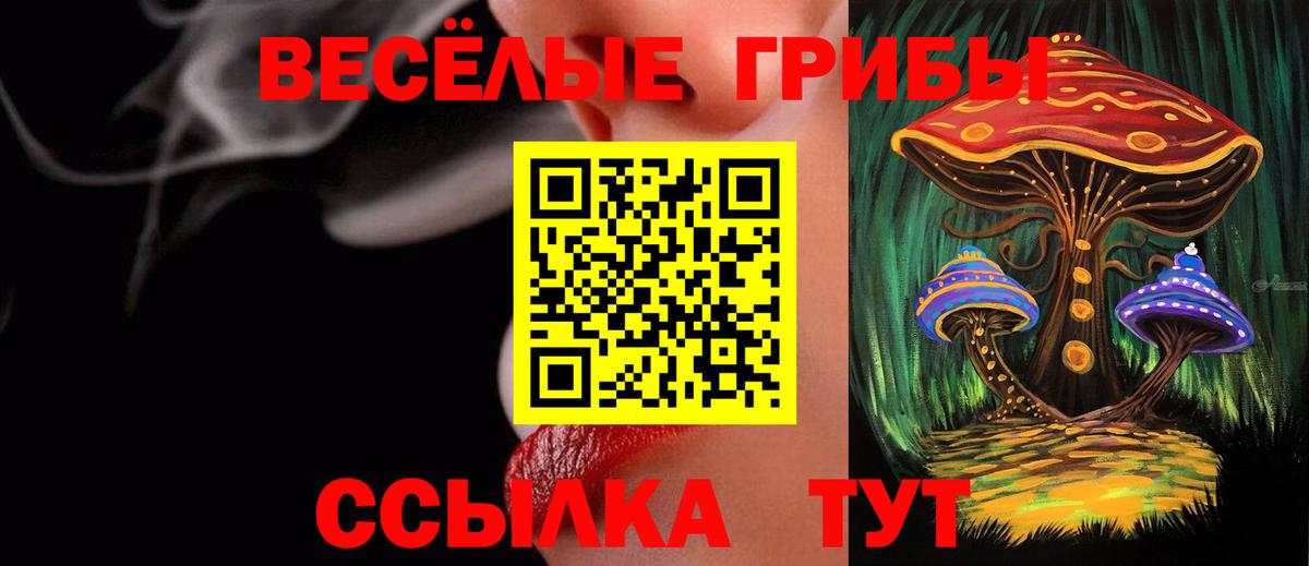 Галлюциногенные грибы GOLDEN TEACHER Реутов